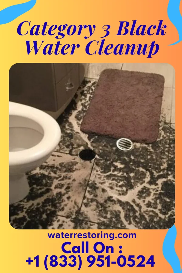 Category 3 Black Water Cleanup in Black River, NY
