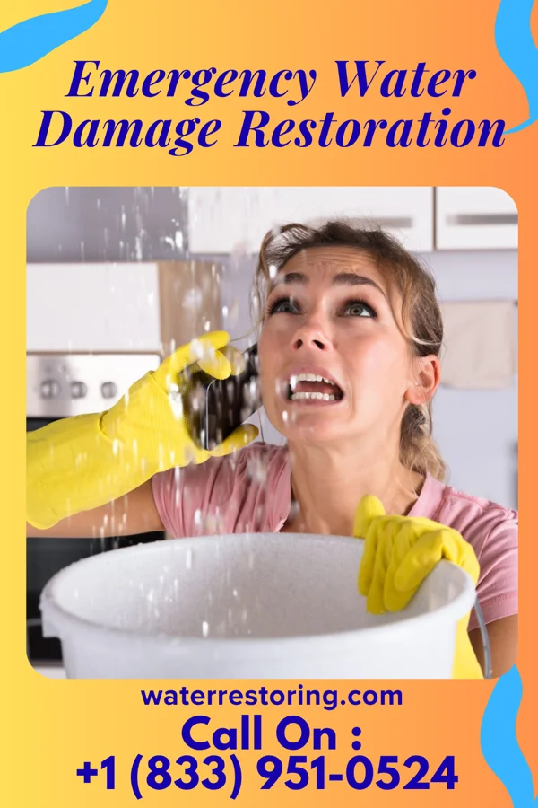 Emergency Water Damage Restoration in Black River, NY