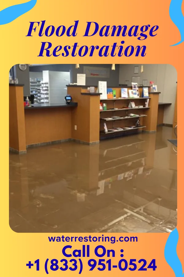 Flood Damage Restoration in Black River, NY
