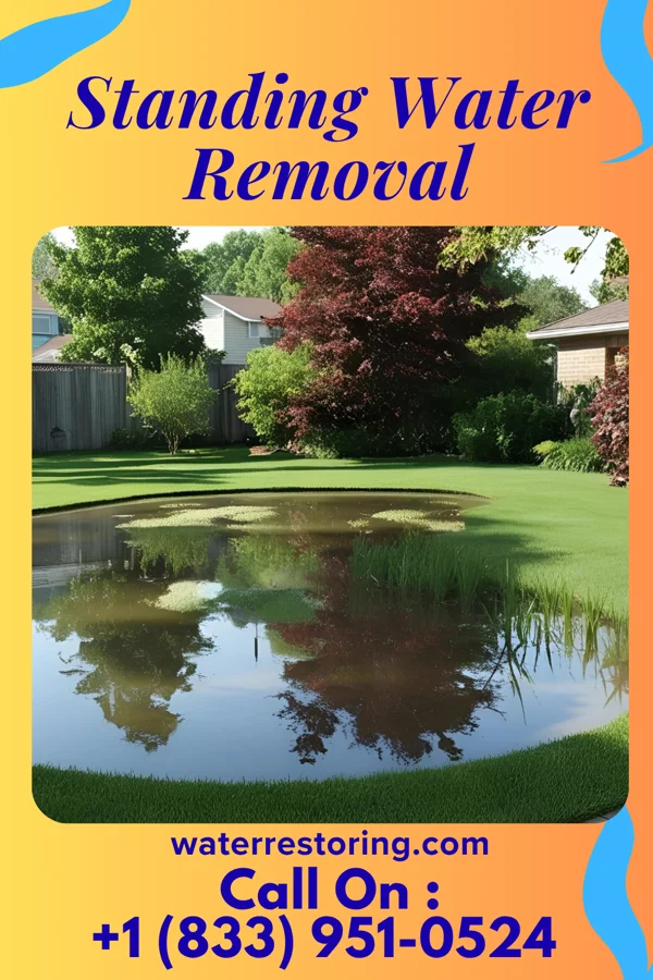 Standing Water Removal in Black River, NY